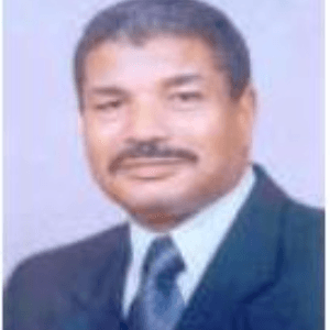 Mahmoud Khodari Maeila Hamed, South Valley University