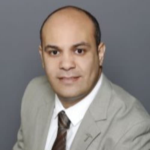 Ahmed A. El-Gendy
