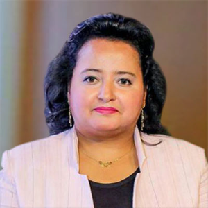 Heba S Hamed, Speaker at World Nanotechnology Conference